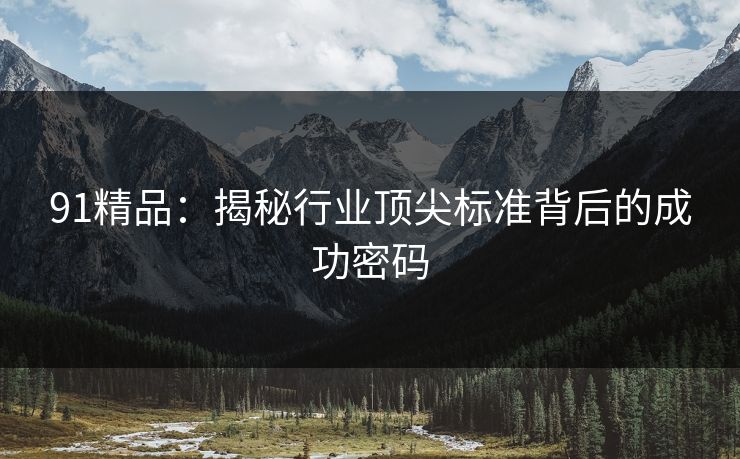 91精品：揭秘行业顶尖标准背后的成功密码