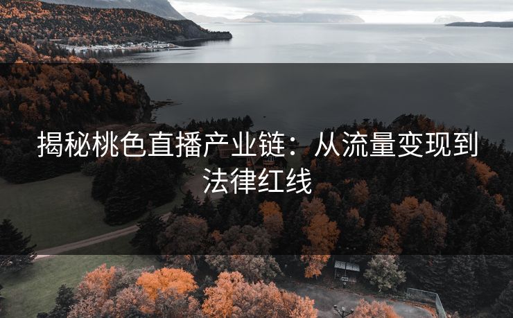 揭秘桃色直播产业链：从流量变现到法律红线