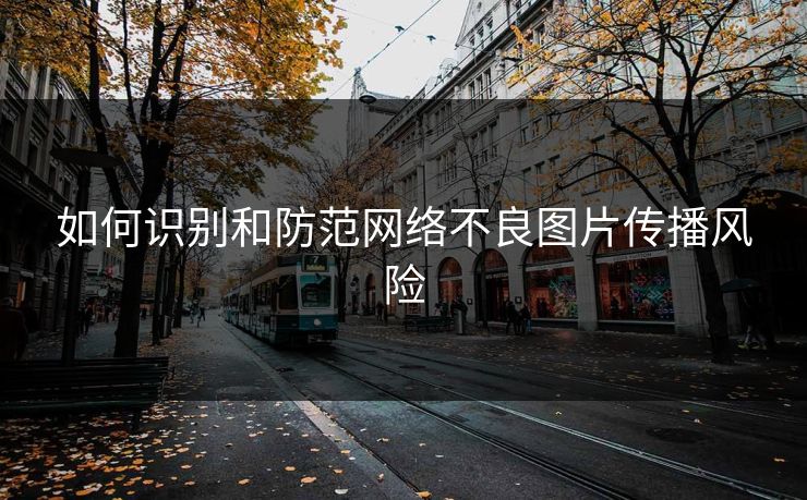 如何识别和防范网络不良图片传播风险
