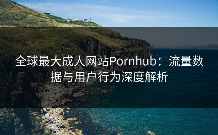 全球最大成人网站Pornhub：流量数据与用户行为深度解析  第1张