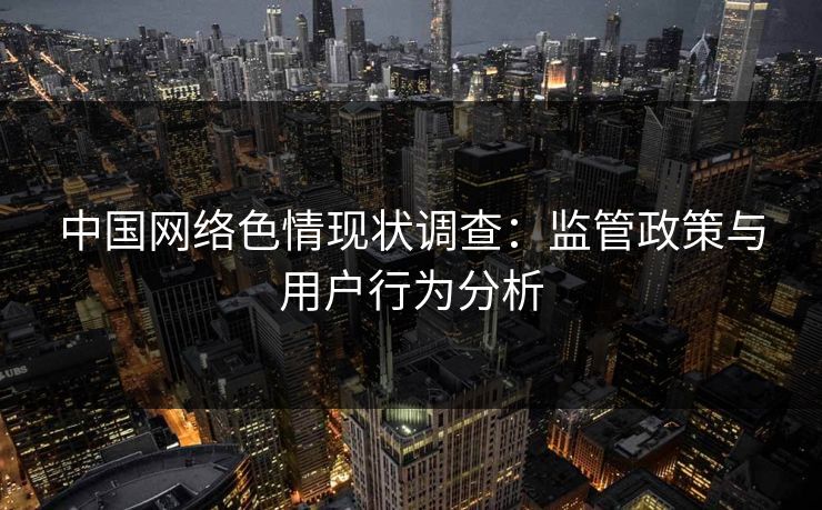 中国网络色情现状调查：监管政策与用户行为分析