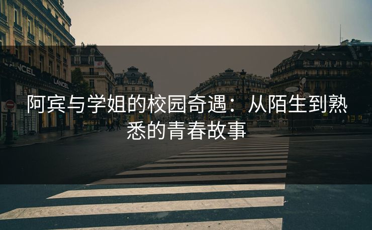 阿宾与学姐的校园奇遇：从陌生到熟悉的青春故事  第2张