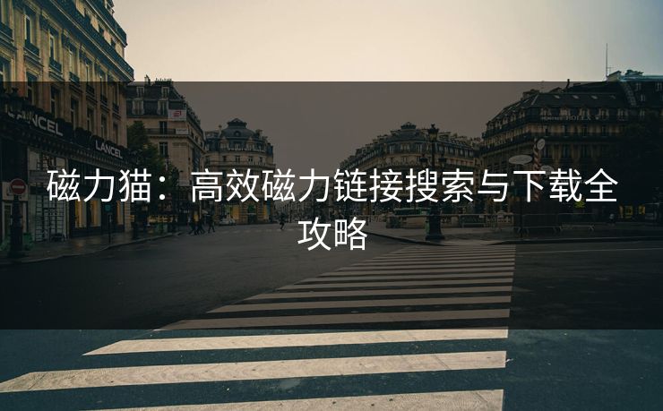 磁力猫：高效磁力链接搜索与下载全攻略